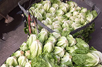 东莞大朗食堂承包企事业单位